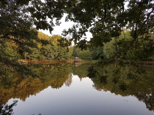 villa kazimierowka pond