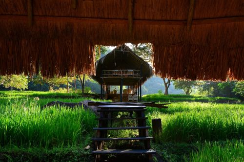 village hay hut