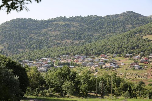 village  landscape  forest