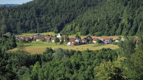 village  landscape  forest