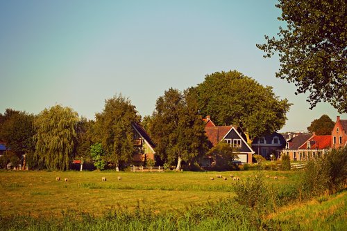 village  houses  meadow