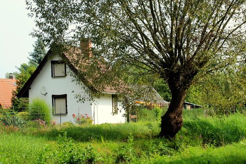 village  cottage  house