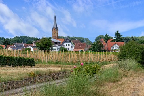 village  church  steeple