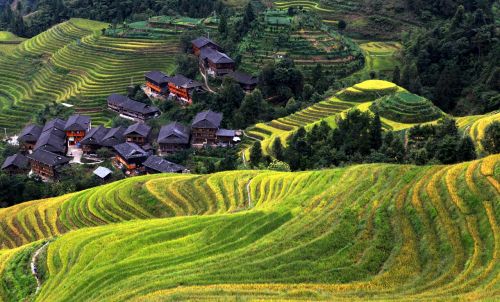 village asia landscape
