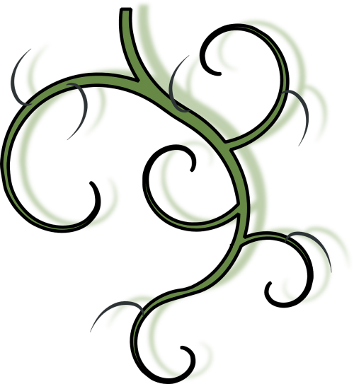 vine green branch