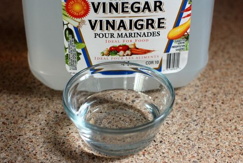 vinegar cleaning cleaner