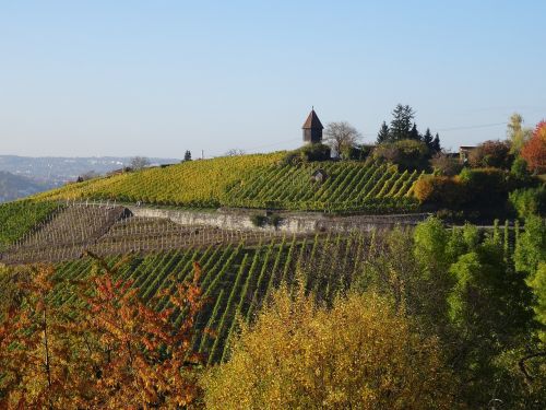 vineyard uhlbach stuttgart