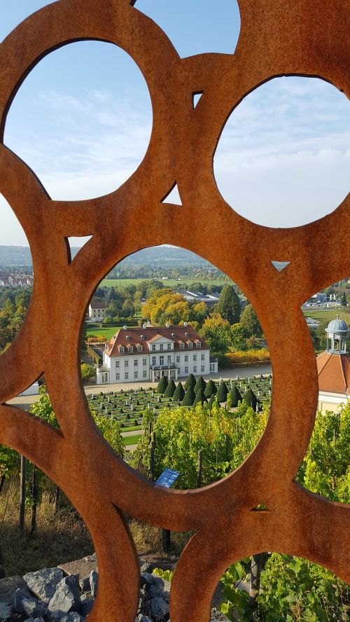 vineyard distant view schloss wackerbarth