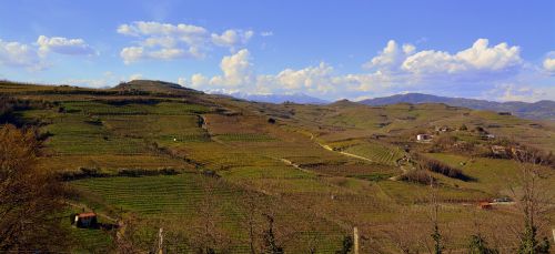 vineyard hill nature