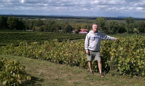 vineyards quebec vineyard