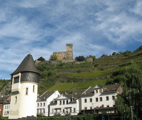 vineyards middle rhine landscape