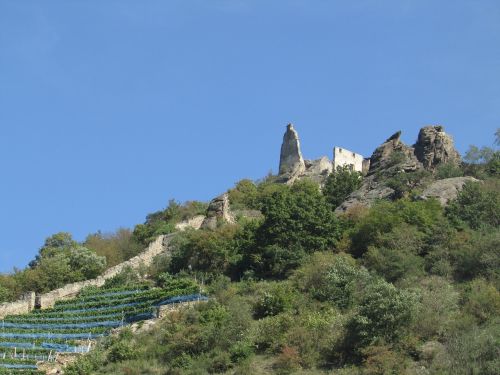 vineyards ruin wachau