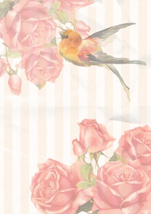 vintage rose bird