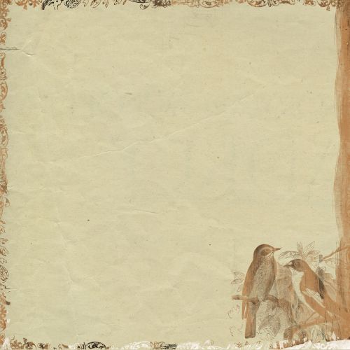 vintage parchment paper