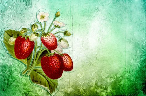 vintage romantic strawberry