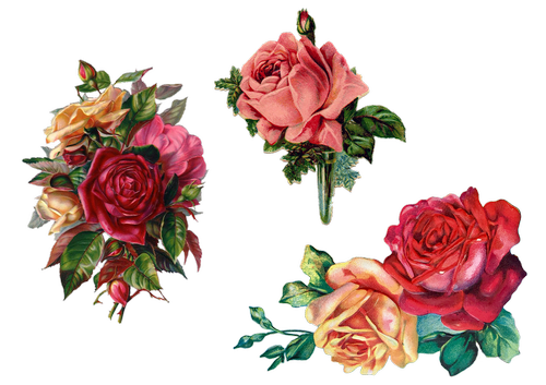 vintage  roses  bouquet