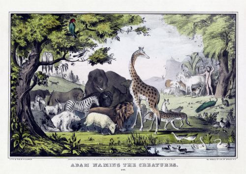 Vintage Animal Poster