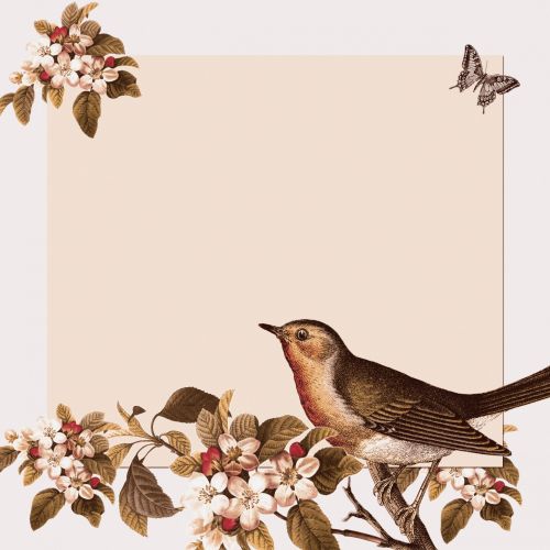 Vintage Bird &amp; Floral Background