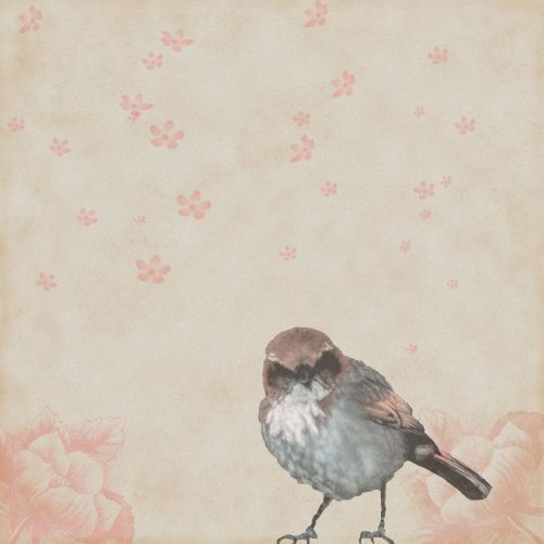 Vintage Bird Notepaper