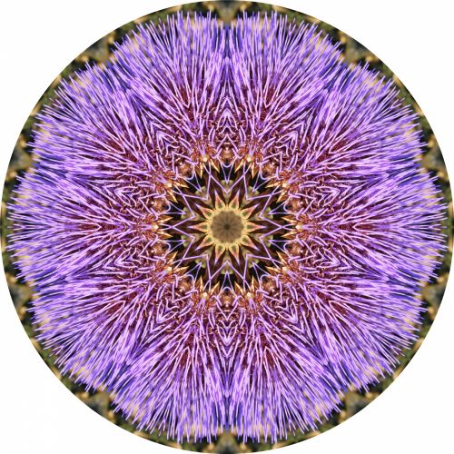 Violet Kaleidoscope