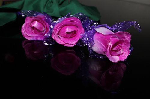 Violet Roses 2