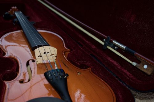 violin velvet bow