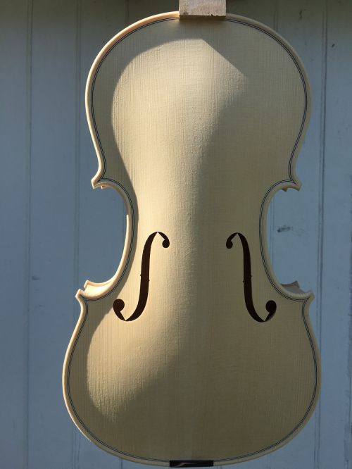 violin white classical