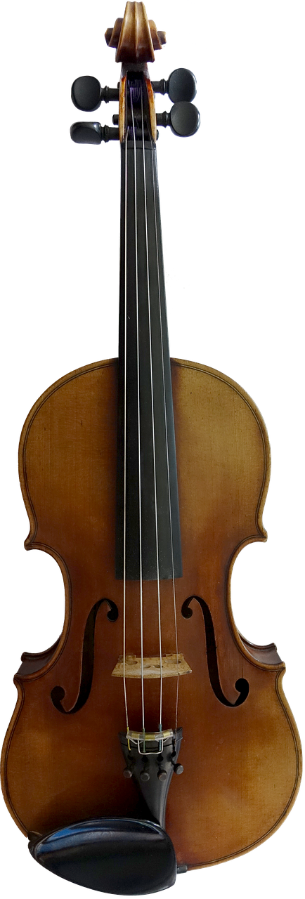 violin music instrument