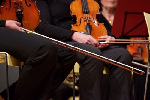 violin string close up