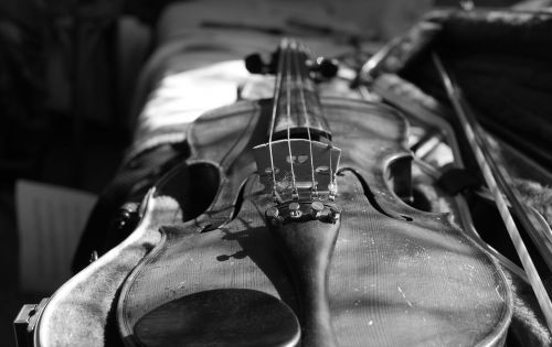 violin black and white bow