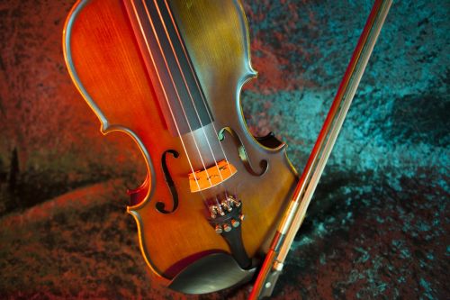 violin instrument bow