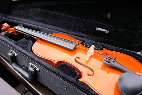 violin stringed instrument instrument