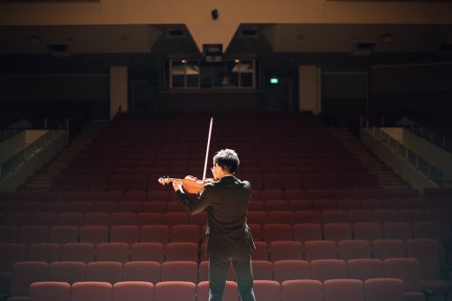 violin music musician