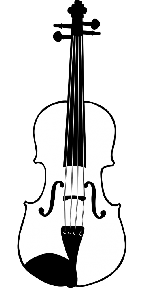 violin music instrument
