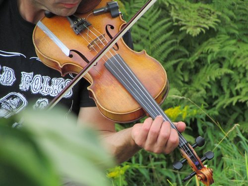 violin  nature  musician