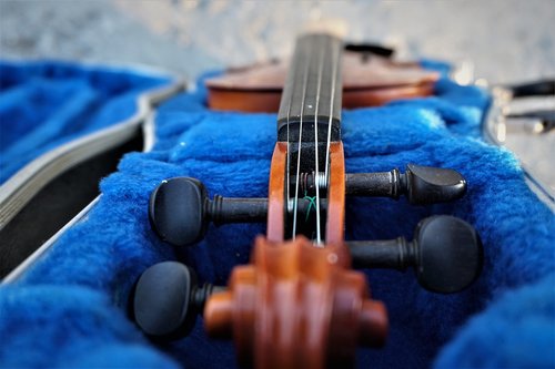 violin  instrument  music