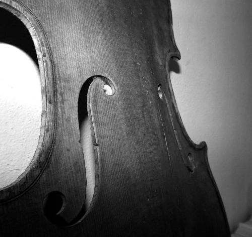 violin wood effe