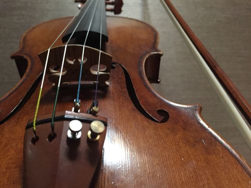 violin wooden instrument musical instrument