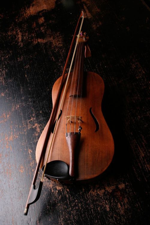 violin musical instrument music