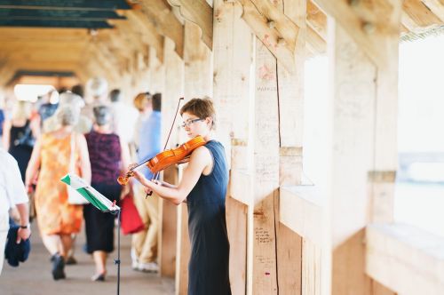 violinist violin wooden bridge