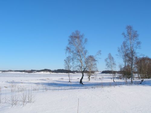 virksund limfjord denmark