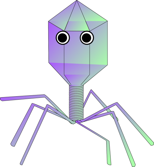 virus phage germ