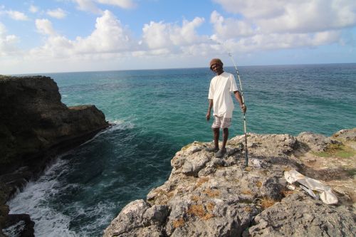 visser barbados nature