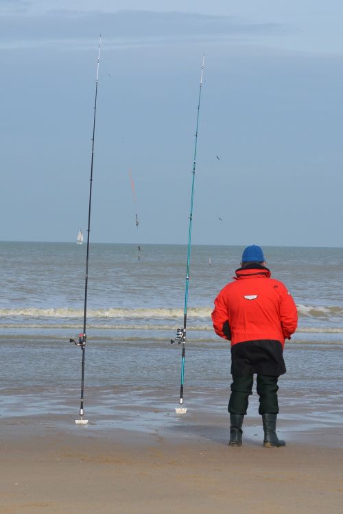 visser sea fishing lines