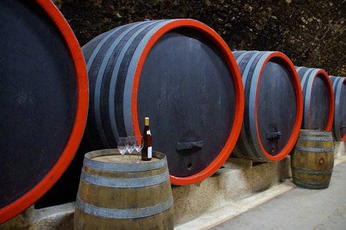 viticulture  wine  barrels