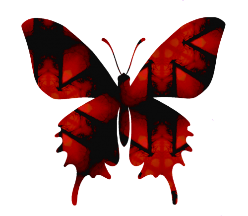 vlinder insect vorm