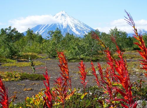 volcano forest autumn