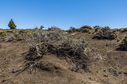 volcano canary islands volcanic