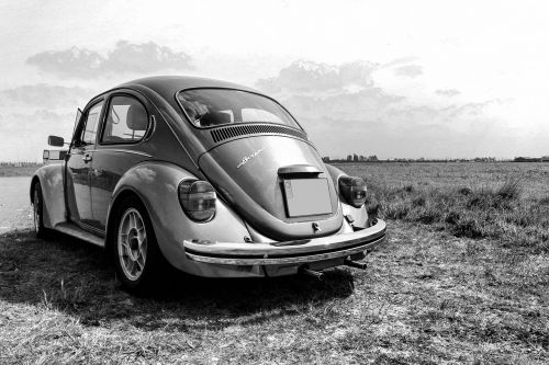 volkswagen beetle bug
