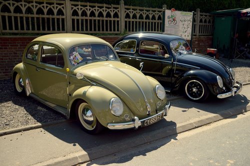 volkswagen beetle  ladybug  old car